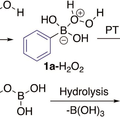 boronic|Boronic Acid